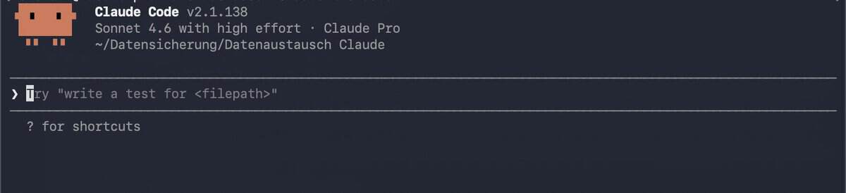 Claude Code Anleitung: Erster Start im Terminal nach der Installation