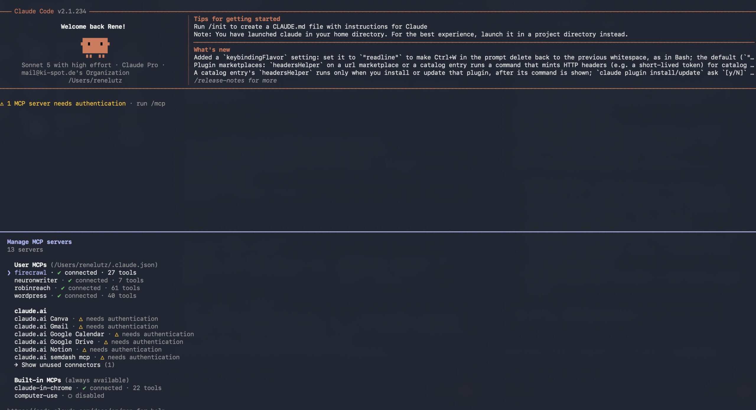 Claude-Code-Terminal zeigt das /mcp-Panel mit den verbundenen MCP-Servern, darunter der WordPress-Server mit 40 verfügbaren Tools.