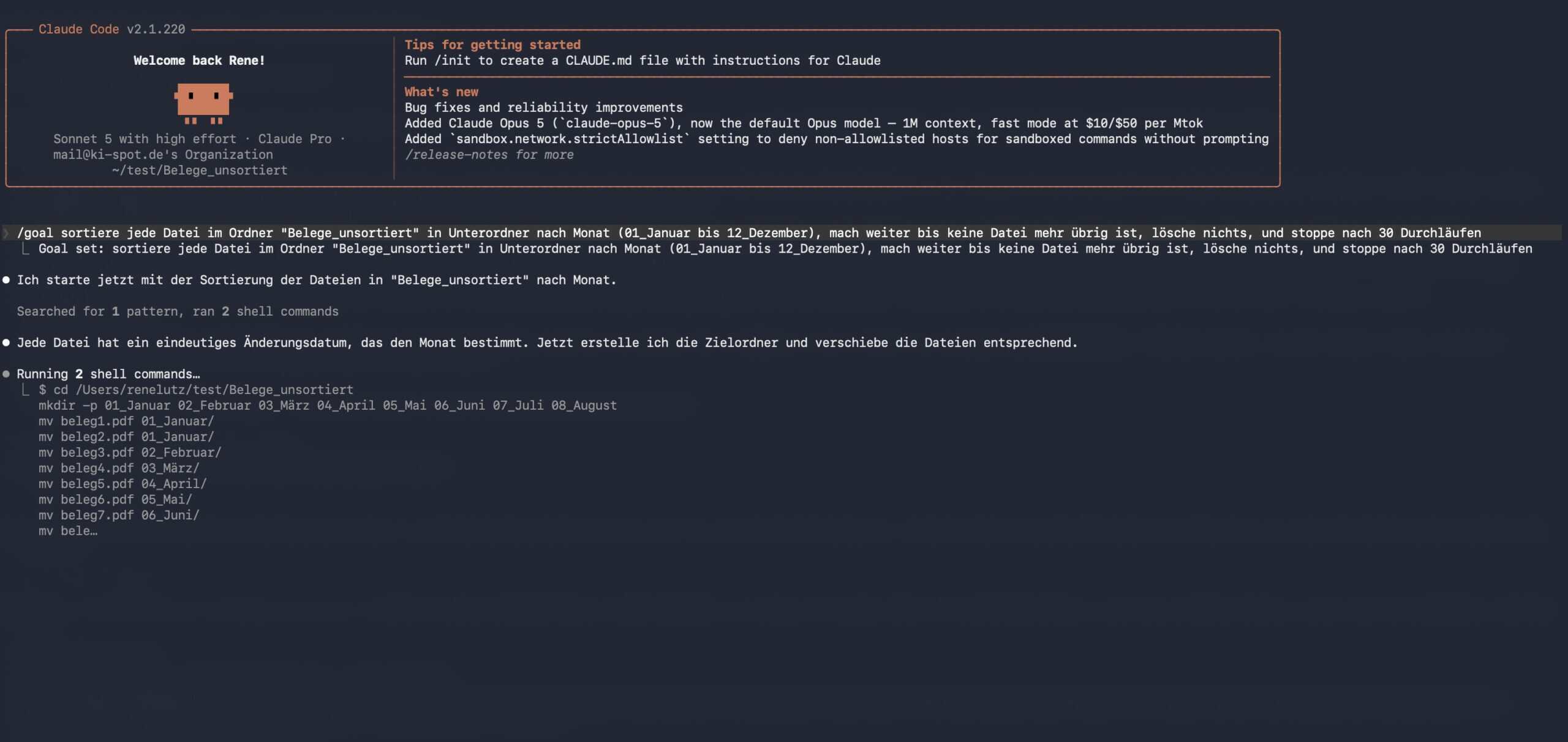 Claude Code Terminal: /goal-Befehl gestartet, Goal registriert, erste Belege werden nach Monat sortiert