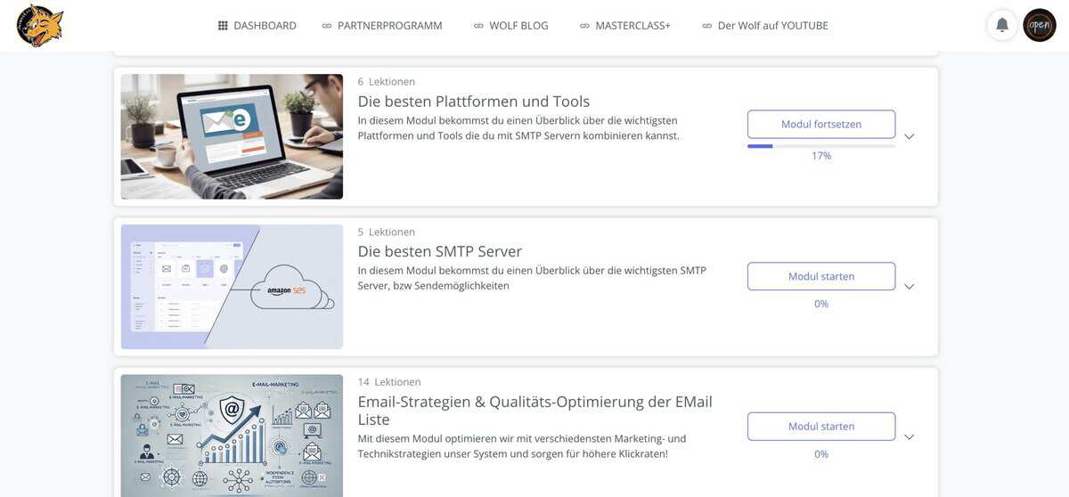 Wolf Die E-Mail Cashcow – Newsletter-System mit KI aufbauen und monetarisieren